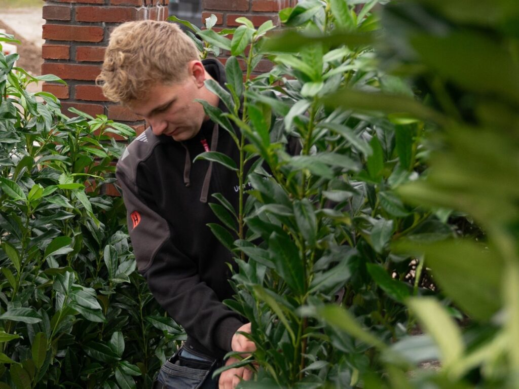 Hovenier aan het werk