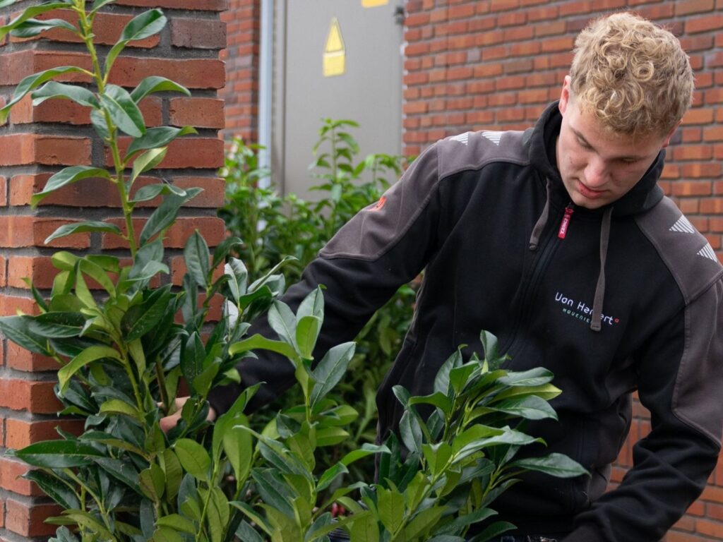 Hovenier aan het werk tijdens tuinaanleg en beplanting
