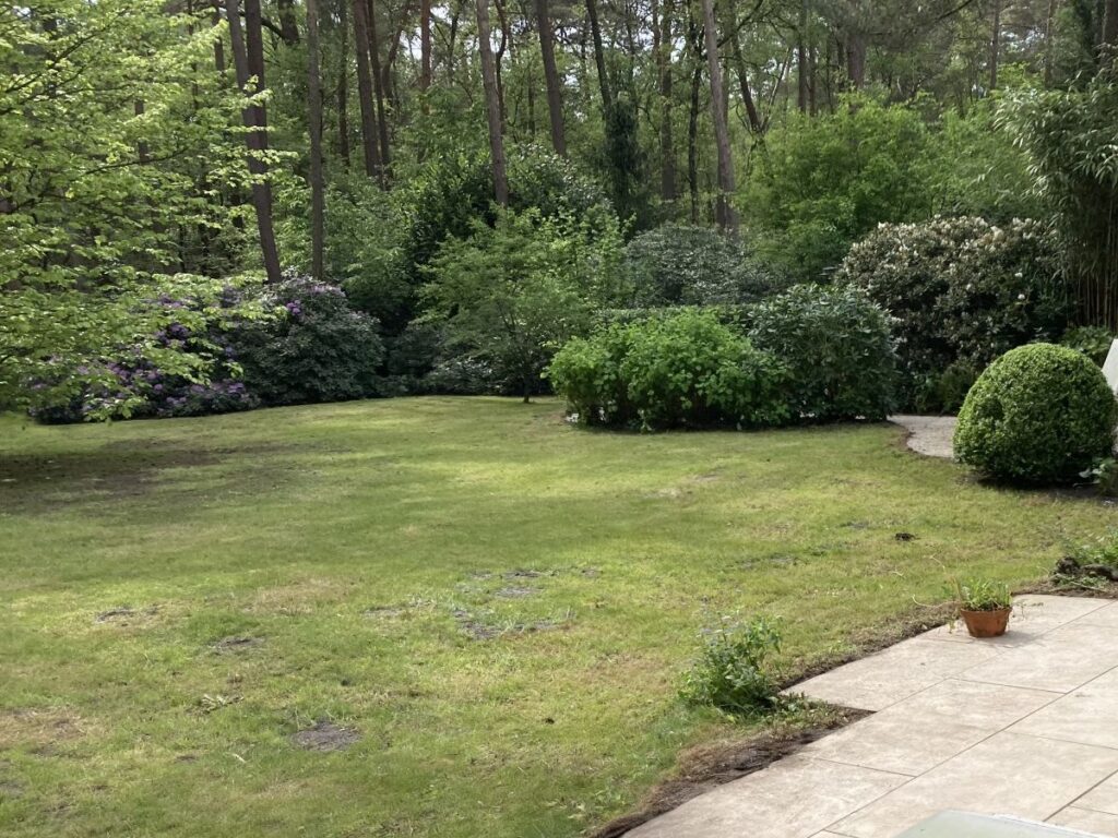 Groene bostuin in Baarn