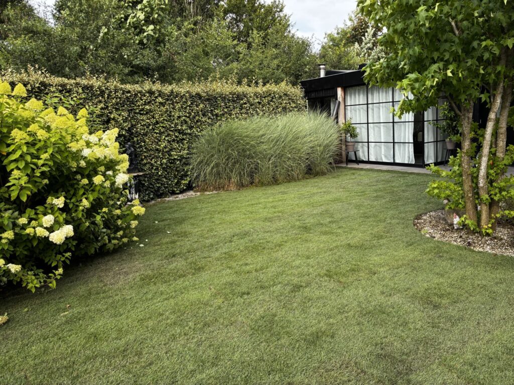 Tuinonderhoud in Voorthuizen met strak gazon, gesnoeide haag en hortensia