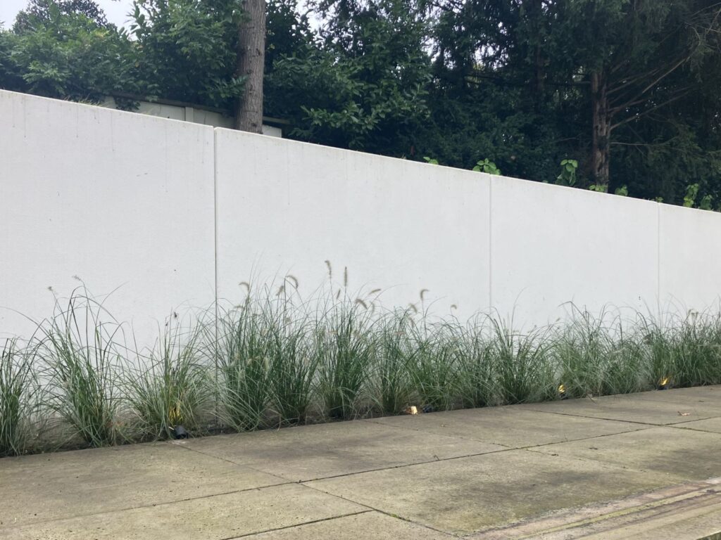 Siergrassen en In-Lite in Huizen